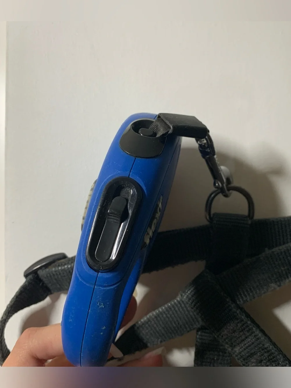 Blue Flexi retractable leash paired with a black nylon pet harness